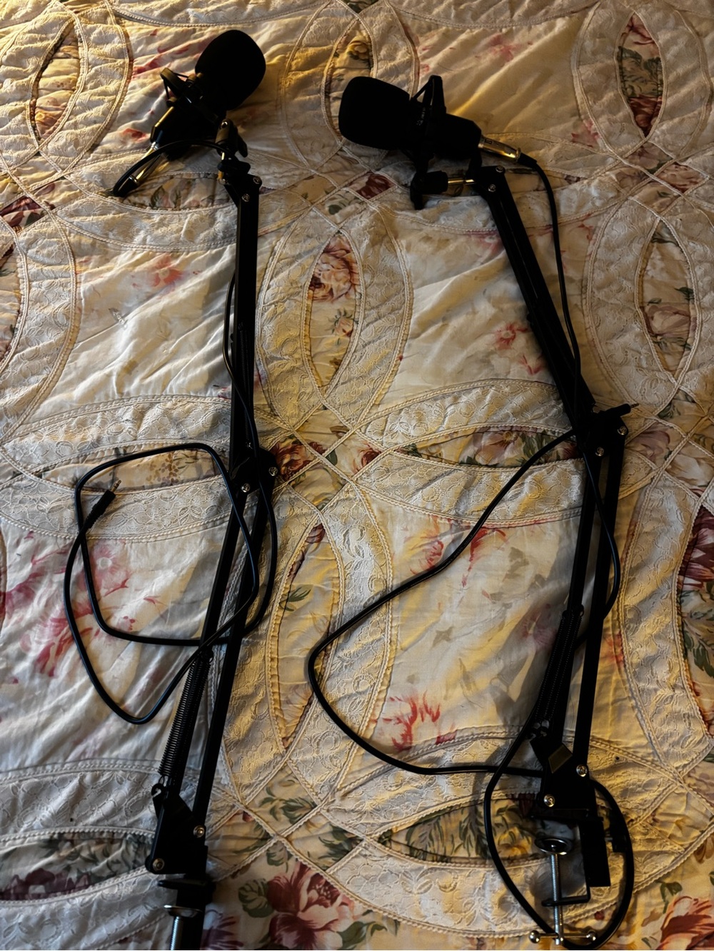 Podcast Mics